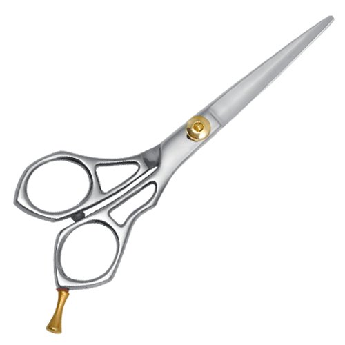 Razor Edge Scissors 1